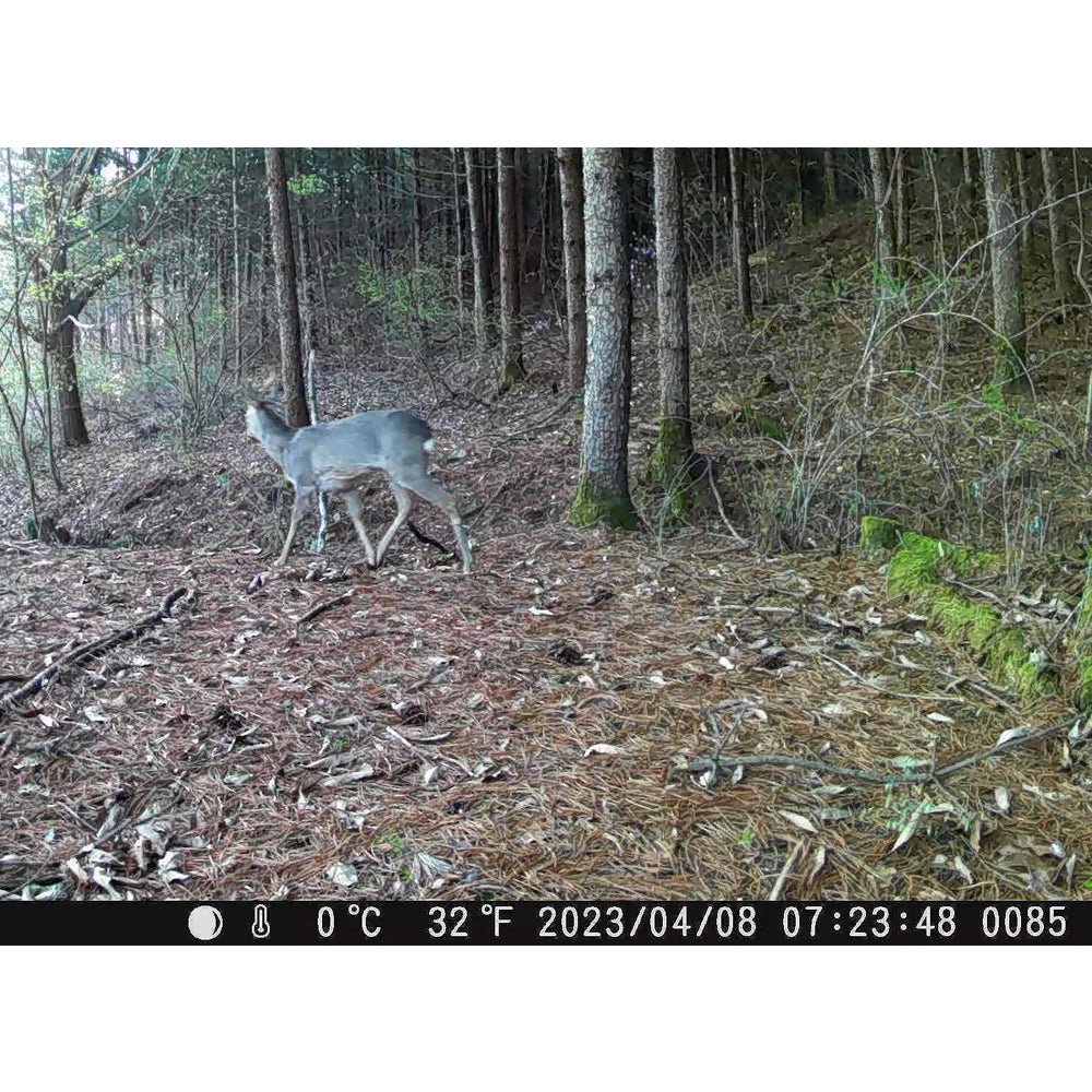 제로빔 T9 무인카메라