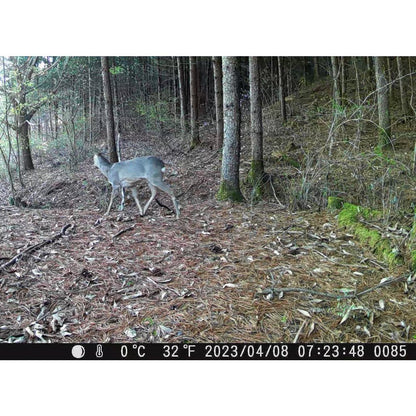 제로빔 T9 무인카메라