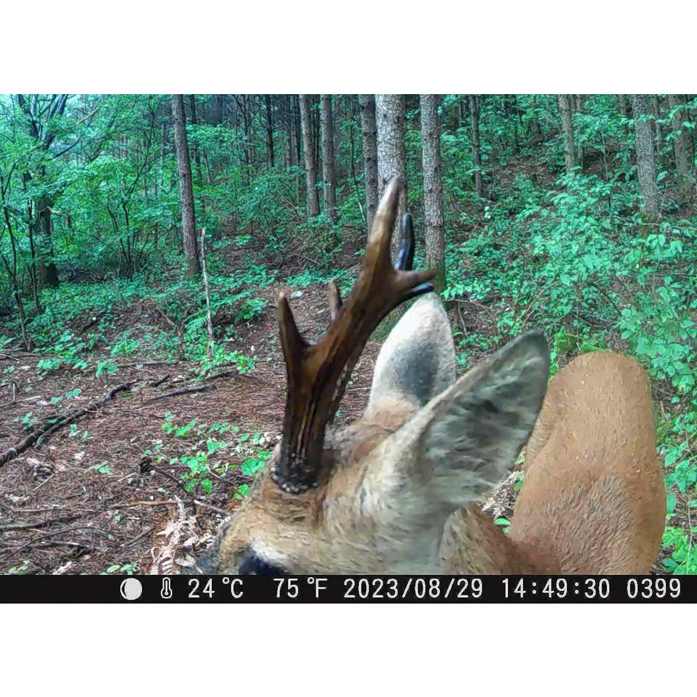 제로빔 T9 무인카메라