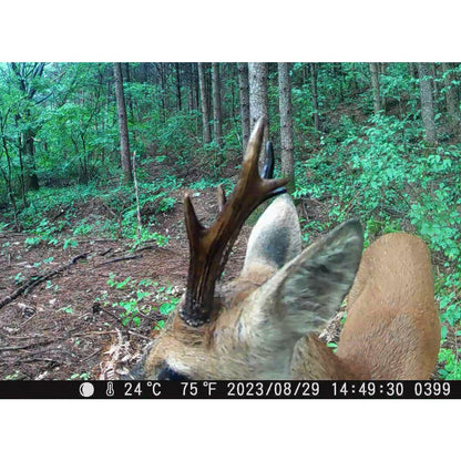 제로빔 T9 무인카메라