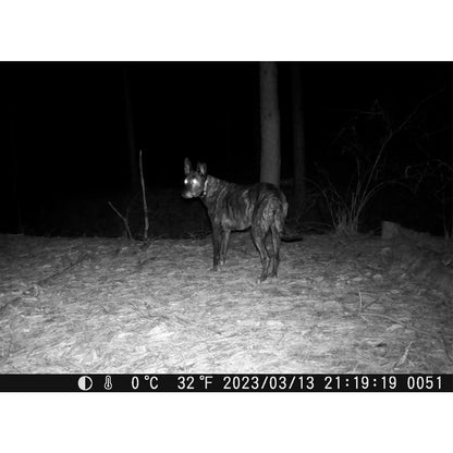 제로빔 T9 무인카메라