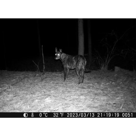 제로빔 T9 무인카메라