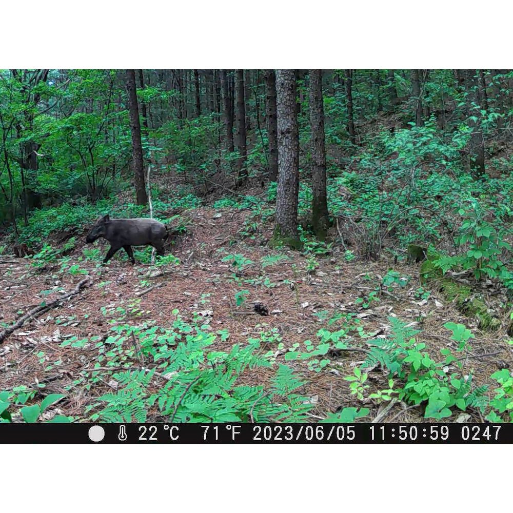 제로빔 T9 무인카메라