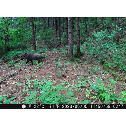 제로빔 T9 무인카메라